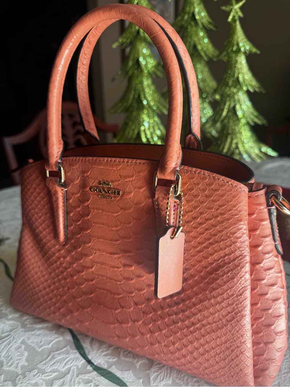 Coach Mini Sage Carryall - Picture 3 of 7